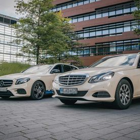 Doglo’s Taxi-Service Bremen